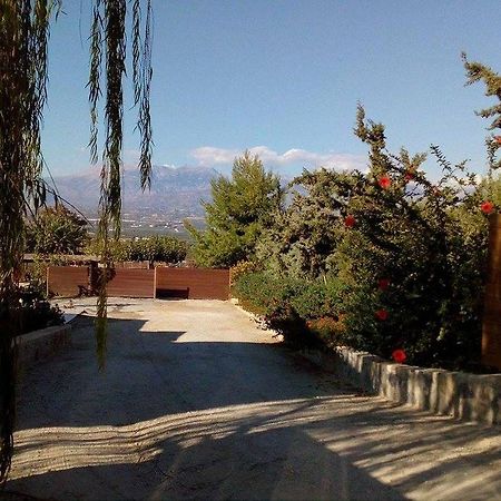 House Veggera - Private Swimming Pool Guest House Pombia Exterior foto